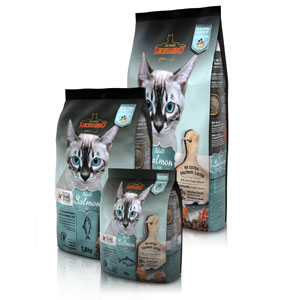 adult-salmon-grain-free