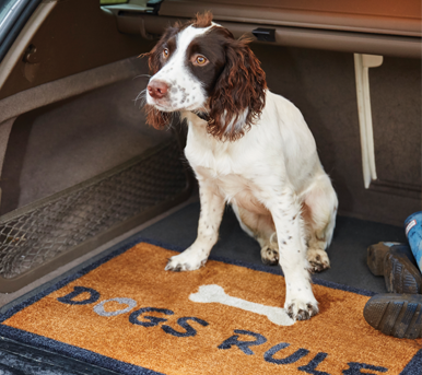 Tappeti per cani per macchina