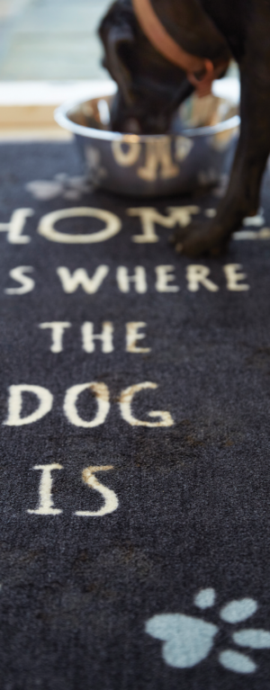 tappeti-runners-per-cani tappeti-runners-per-cani