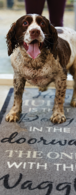 tappeti-runners-per-cani2 tappeti-runners-per-cani2